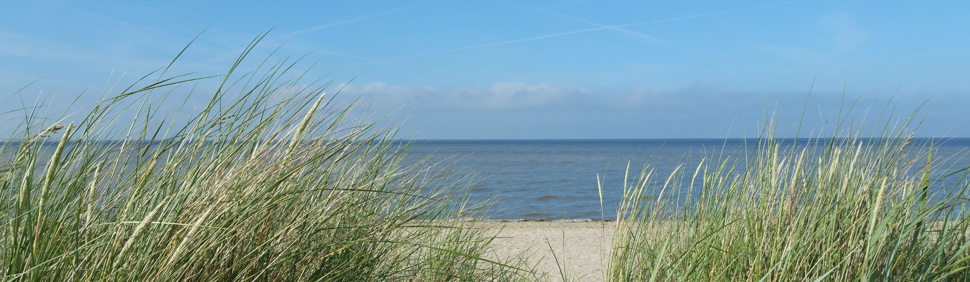 Umgebung - Norddeich